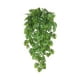 thumbnail image 1 of Simulación de Helecho Verde Enredadera Persa Enredadera Colgante Pared Verde Colgante Tortuga Enredadera, 1 of 8