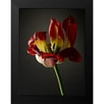 thumbnail image 2 of McLoughlin, James 15x18 Black Modern Framed Museum Art Print Titled - Studio Flowers XII, 2 of 5