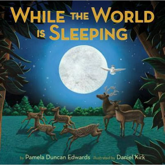 Pre-Owned While the World is Sleeping Paperback