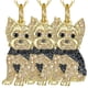thumbnail image 1 of Royal Yorkie Collar DogNeck07 3Pzas Royal Yorkie Dorado/Negro Metal Cadena y Dije. High Monaco MXNDK-003, 1 of 5