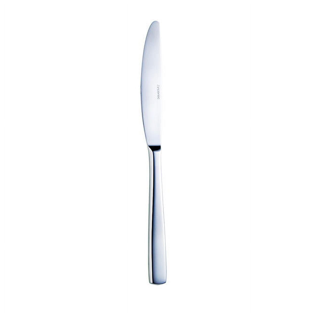 Arcoroc T1804 Vesca S/S 9-1/4" Dinner Knife - Dozen