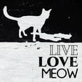 thumbnail image 2 of Villa, Milli 20x20 White Modern Wood Framed Museum Art Print Titled - Live Love Meow, 2 of 4
