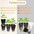 thumbnail image 3 of Gardzen 10 Pack Push-Up Seed Starting Tray, Pop Up Plant Germination Trays, Starter Kit with Adjustable Humidity Vented Dome, 6.6" x 4.5", Total 120-Cell, Clear, 3 of 4