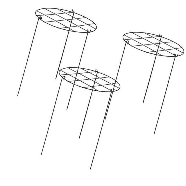3 piezas Peony Support Cage través de Hoops Metal Marco de metal Estacas de soporte de plantas de jardín para plantas altas Vegetales fresas Rejillas