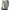 Gray, variant on Diufon Women's Sweaters Fall Winter Warm Long Sleeve V Neck Knitwear Soft Thin Solid Color Pullover Sweater