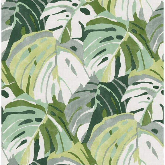 Nuwallpaper Green Adansonii Peel & Stick Wallpaper