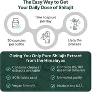 Organics Ocean One-Per-Day Shilajit Supplement – High Potency Formula – 30 Capsules – Skin & Bone Support