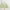 -, variant on Daisy Print Tablecloth 60x102 Inch Spring Summer Floral Table Cloth Rectangle Green Daisy Flower Table Cover for Kitchen Dining Table Picnic Decoration Supplies