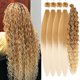 thumbnail image 1 of Extensiones de cabello trenzado Leticia Blonde preestiradas, 26 pulgadas, 1 of 7