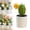 Green_c, variant on ZOURIH Artificial Cactus Plant Ornament, Simulation Cactus Adornment Bonsai Model, 8" Tabletop Fake Plants for Office and Bedroom Use