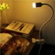 thumbnail image 5 of Bearachild Lámpara de clip LED de 3W, luz de ajustable en ángulo con interruptor de encendido para dormitorio, oficina, mesita de noche, mesita de Iluminación y accesorios No.1 Bearachild HA024424-01, 5 of 6