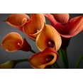 thumbnail image 2 of Anonymous 32x23 Gold Ornate Wood Framed with Double Matting Museum Art Print Titled - Orange Calla Lilies, 2 of 4