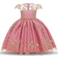 thumbnail image 1 of Vestido de fiesta para niñas de flores, vestido de princesa para niñas, vestido de boda con lazo, vestidos de desfile para niños, ropa para bebés de 0 a 8 años, cumpleaños 3T (etiqueta 110) Gao Jinjia LED, 1 of 2