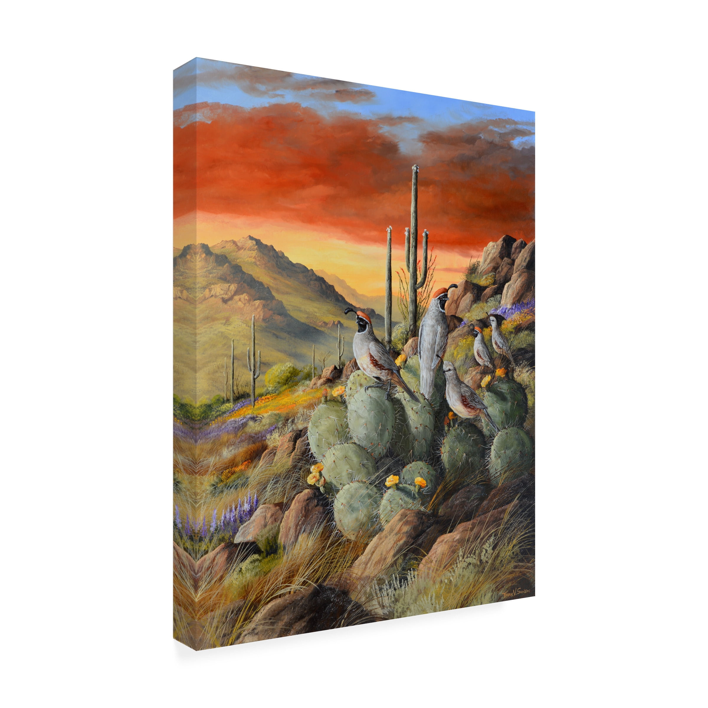 Trevor V. Swanson 'Birds I' Canvas Art