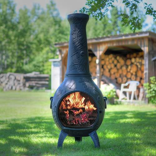 Outdoor Chiminea Fireplace Dragonfly in Antique Green Finish (Without Gas) by The Blue Rooster