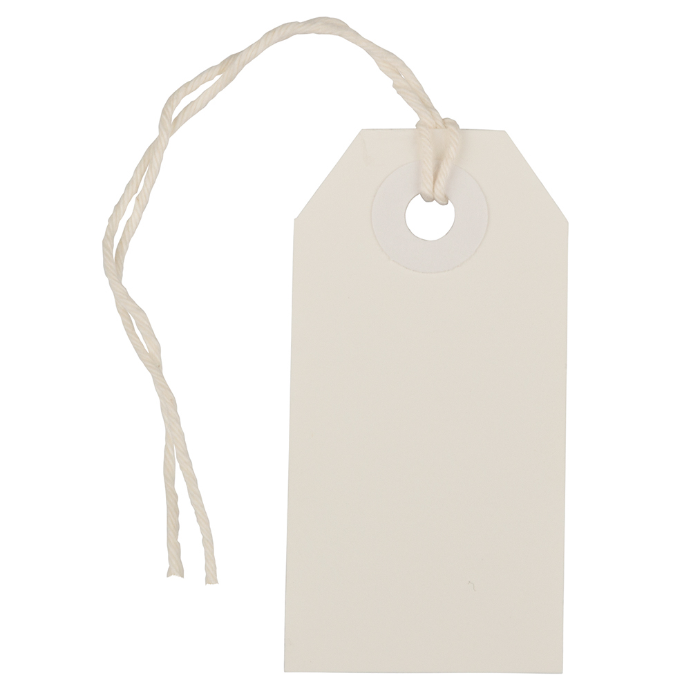 JAM Gift Tags with String, White, 10/Pack, Tiny, 2 3/4 x 1 3/8