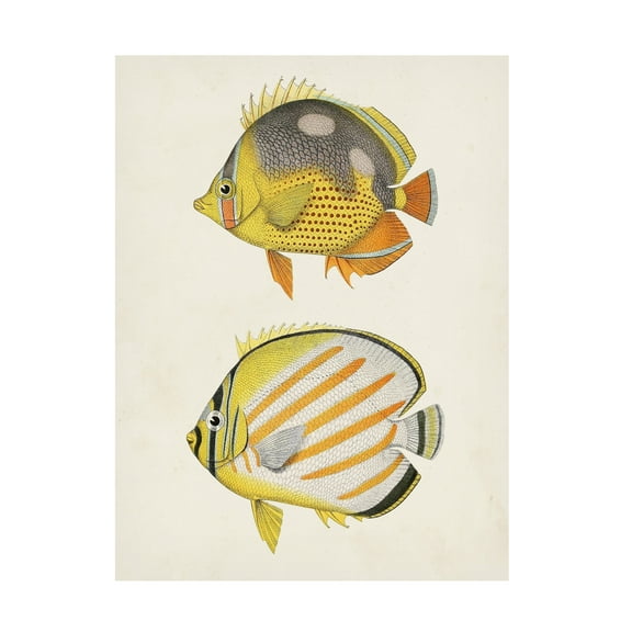 Unknown 'Yellow and Grey Fish IV' Canvas Art