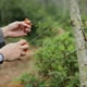 thumbnail image 4 of Sierra de Alambre Portátil de Acero Inoxidable - Minisierra de Bolsillo para Supervivencia, Herramienta de Corte para Exteriores con Mango Antideslizante, 1 Pieza, 4 of 7