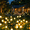 Warm White-8LED, variant on 2PC Outdoor Stake Solar lights, 10 LED Waterproof Swaying Firefly Lights, Solar Power Decorative Lights for Yard Lawn, Path, Flower Bed, Patio(Warm White)