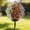 Red white blue 2, variant on Zeiwohndc Bright Grape Artificial Flower with Sturdy Round Base for Yard Decoration