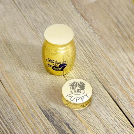 Personalized Pet Portrait Always in my Heart Mini Urn Engravable Dog Cat Picture Ashes Holder Custom Memorial Cremation
