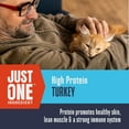 thumbnail image 5 of Whole Life Pet Just One Ingredient Turkey Treats for Cats, 1.2oz, 5 of 9