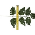 thumbnail image 4 of Artificial Silk 18 Inch Leather Leaf Fern Greenery Florist Quality 7 Leaves per stem 6 Bunches totals 504 Leaves (6 Bunches of 12 Stems 72 Stems), 4 of 8
