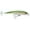 Olive Green, variant on Rapala X-Rap Saltwater 12 Jerkbait Fishing Lure 4.75" 3/4oz Olive Green