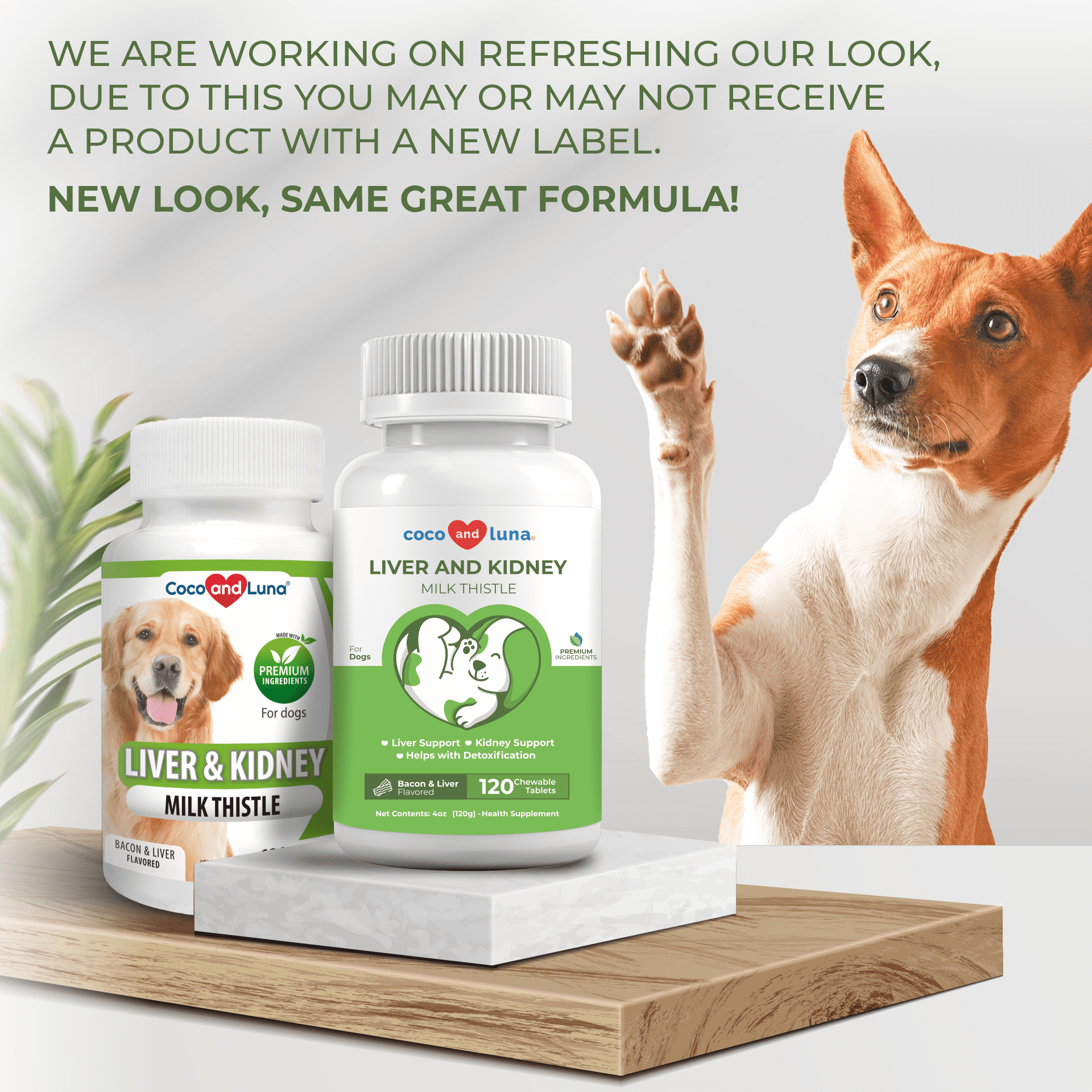 What Is Milk Thistle Used For In Dogs