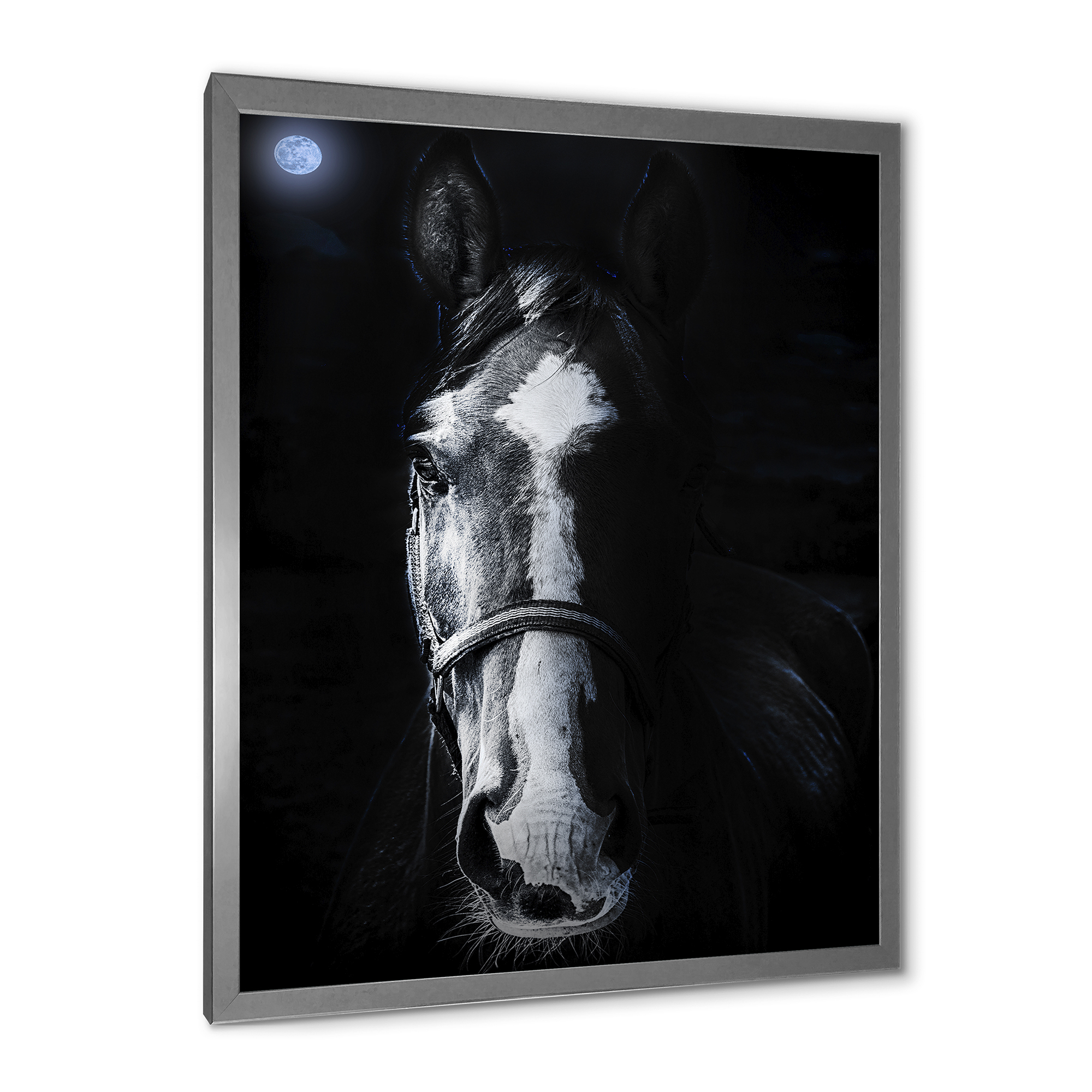 Portrait of Horse Staring Sinister 24 in x 32 in Framed Photography Canvas Art Print, by Designart