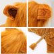thumbnail image 5 of Disfraz de león para perro, ropa para mascotas para fiesta, simulación de león, trajes para mascotas, disfraz de cosplay, sudadera con capucha para mascota, talla XL, 5 of 5