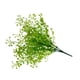 thumbnail image 2 of Ramo simulado de flores de sauce dorado Bewildely Verde y blanco 38 cm, 2 of 6