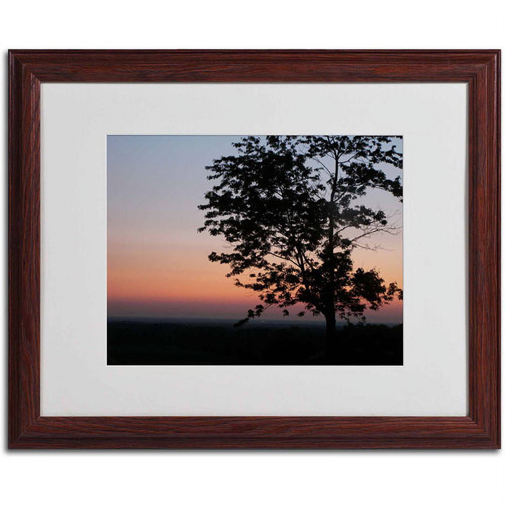 Trademark Fine Art "Soothing Symmetry" Canvas Art by Monica Fleet, White Matte, Wood Frame
