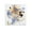 Unframe-style, variant on Yumihiko Amano Painting Artist Poster Wall Art Poster Gifts Bedroom Prints Home Decor Hanging Picture Canvas Painting Posters 16x16inch(40x40cm)