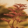 thumbnail image 1 of Ahgly Company Machine Washable Indoor Square Transitional Orange Area Rugs, 5' Square, 1 of 7