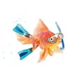 thumbnail image 2 of Loreth, Lanie 24x17 White Modern Wood Framed Museum Art Print Titled - Snorkeling Fish (two flippers), 2 of 4