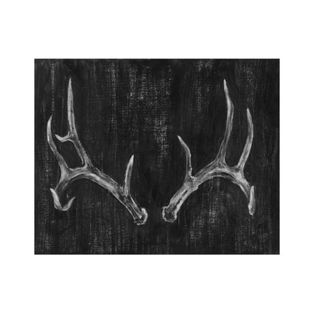Antler Art - Rustic Antlers II Print Wall Art By Ethan Harper
