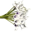 thumbnail image 3 of Paquete de flores artificiales Flor de simulación Adorno de mesa de oficina en casa Decoración floral falsa, Negro 20 piezas Advancent HA8913-04B, 3 of 6