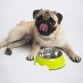thumbnail image 5 of Pet bowl dog bowl cat bowl non-slip dual-use stainless steel single bowl food bowl, 5 of 5