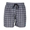 thumbnail image 1 of Arena Mens Fundamental Plaid Swim Shorts, 1 of 3