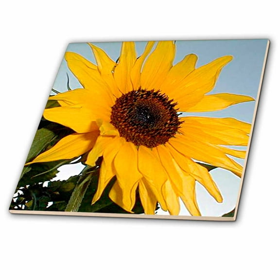 3dRose, Sunflower, 12 Inch Ceramic Tile