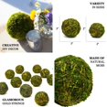 thumbnail image 4 of Efavormart 12 Pack | 2" Handmade Natural Gold Glittered Twig Rattan Balls Wedding Decoration Birthday Party Arrangement, 4 of 11