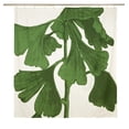 thumbnail image 2 of Ginko Shower Curtain, 2 of 5