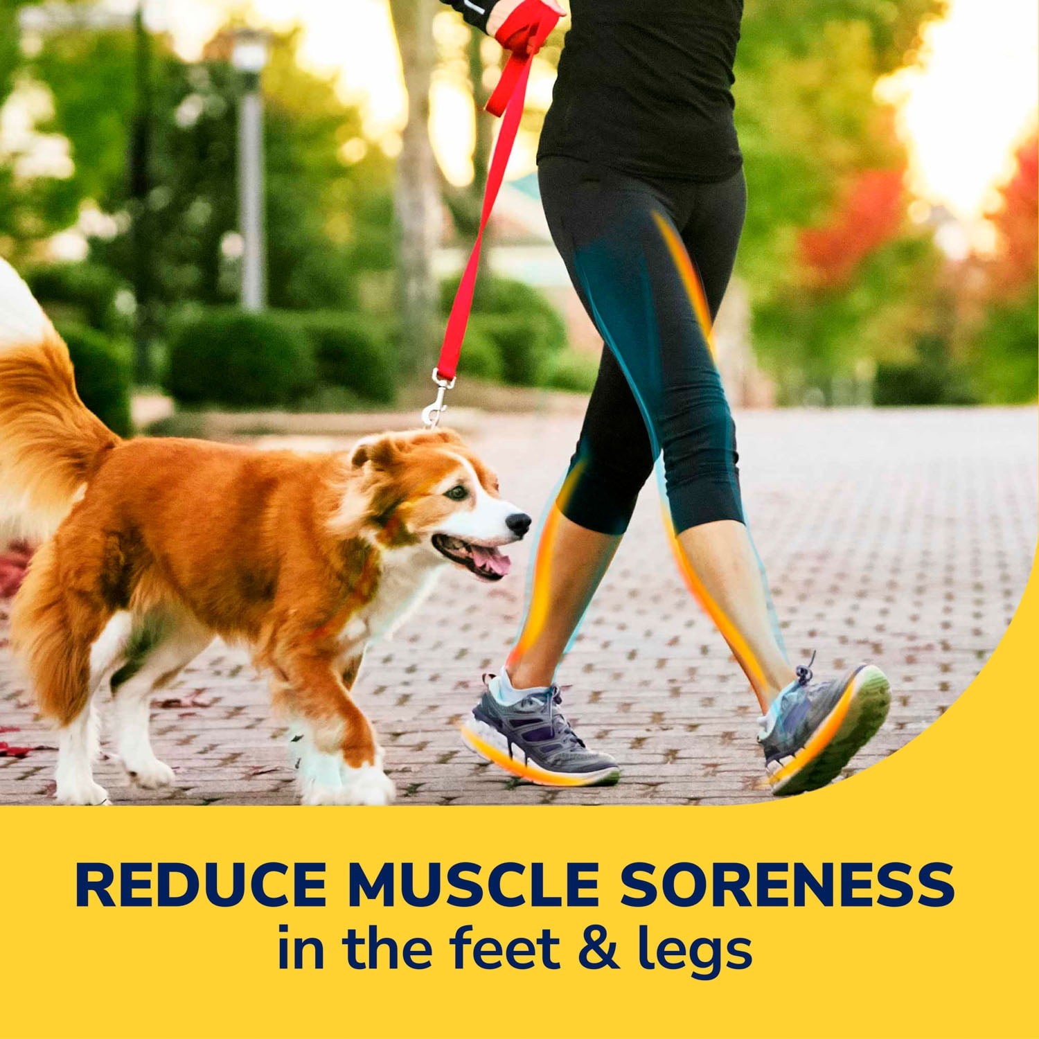 Dr. Scholl's Walk Longer Insoles, Comfortable Plush Foam Inserts for Women, Sizes 6-10