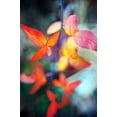 thumbnail image 2 of Bob Stefko 30x44 Gallery Wrapped Canvas Wall Art Titled - Fall Leaves II, 2 of 4