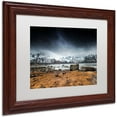 thumbnail image 2 of Trademark Fine Art "Back to Earth" Canvas Art by Philippe Sainte-Laudy, White Matte, Wood Frame, 2 of 4