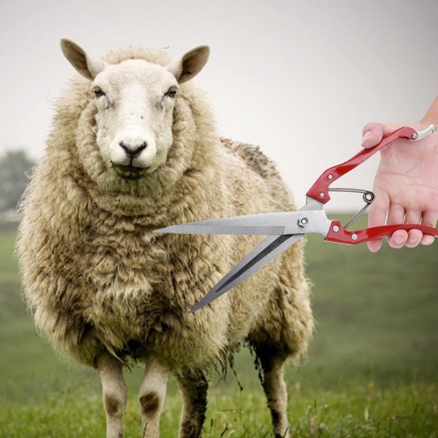 Sheep Clipper, Sheep Shear, Blade Sheep Shear Pets Livestock Areas Rabbits Winter Sheep Shearing Horses