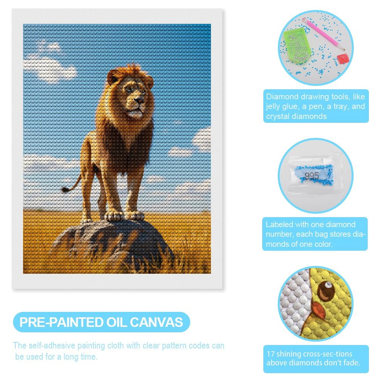 Diamond Art Kits for Adults, Majestic Lion On Rock 5D Diamond Painting Kits for Adults Beginners, DIY Full Drill Diamond Painting, Gem Art and Crafts 12x16
