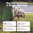 thumbnail image 3 of Zesty Paws Urinary Tract Bites Bacon Flavor Dog Supplement, 90 Count, 3 of 12