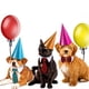 thumbnail image 3 of Piezas ajustable mascota pajarita cuadros negro rojo mascota formal esmoquin traje corbata collar cachorro, 3 of 5